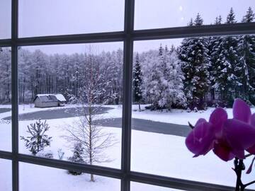 Фотографии Дом для отпуска Дома для отпуска White homestead г. Semeliškės (Литва) №60 Фото номера Дом для отпуска Дома для отпуска White homestead г. Semeliškės 60