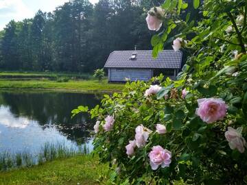 Фотографии Дом для отпуска Дома для отпуска White homestead г. Semeliškės (Литва) №15 Фото номера Дом для отпуска Дома для отпуска White homestead г. Semeliškės 15