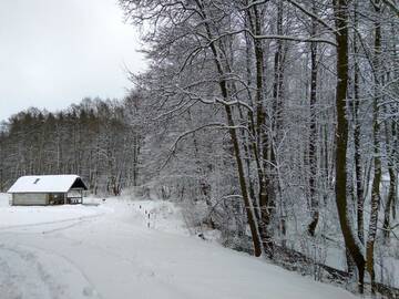 Фотографии Дом для отпуска Дома для отпуска White homestead г. Semeliškės (Литва) №61 Фото номера Дом для отпуска Дома для отпуска White homestead г. Semeliškės 61