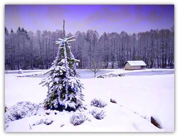 Фотографии Дом для отпуска Дома для отпуска White homestead г. Semeliškės (Литва) №63 Фото номера Дом для отпуска Дома для отпуска White homestead г. Semeliškės 63